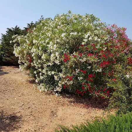 Clessidra Villa Lampedusa